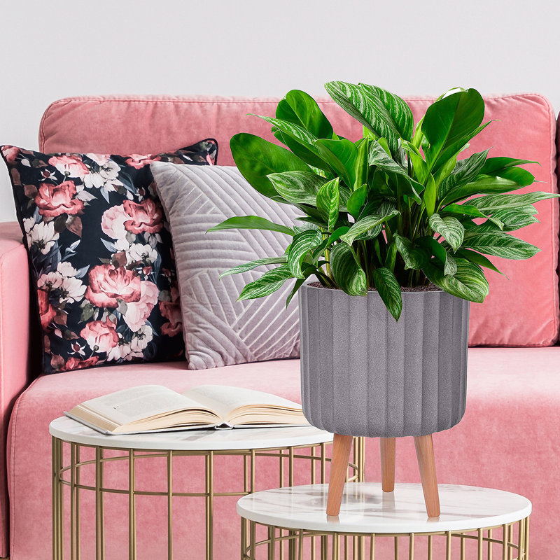 IDEALIST Modern Ribbed Cylinder Planter on Legs, Round Pot Plant Stand